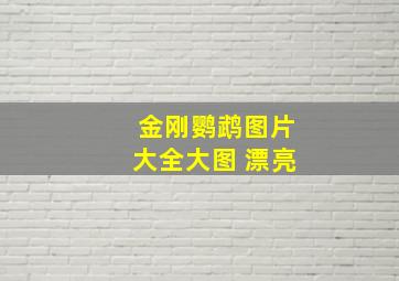 金刚鹦鹉图片大全大图 漂亮